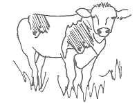 Cow2 small.png