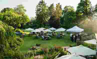 TFH Garden Party June 2023 144
