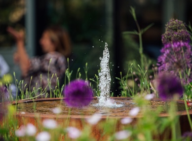 TFH Garden Party June 2023 075