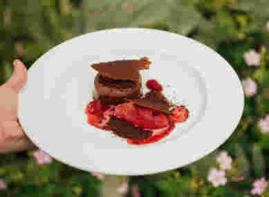 TFH Food June 24 88